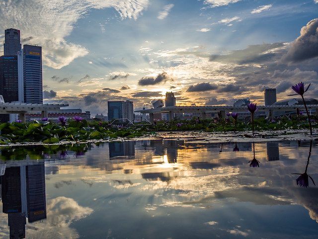 water-reflection-sky-city-skyline 图片素材