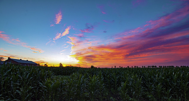 sunset-sky-nature-landscape-dawn picture material