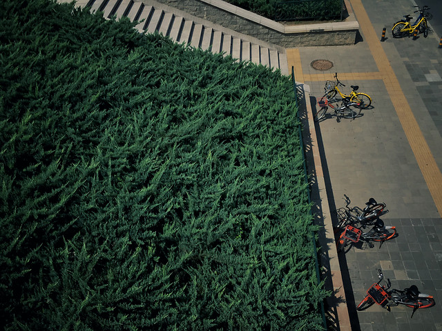 people-no-person-green-competition-landscape 图片素材