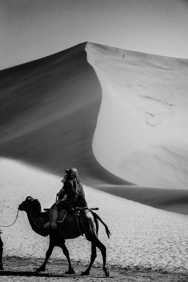 desert-people-monochrome-sand-beach 图片素材