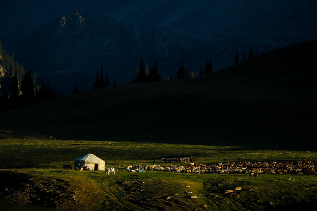no-person-outdoors-landscape-cropland-tree picture material