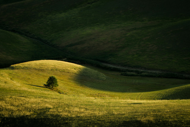 landscape-no-person-grassland-grass-cropland 图片素材