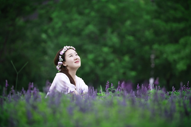 nature-summer-flower-outdoors-green picture material