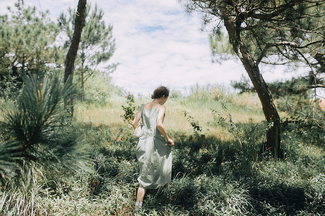 tree-outdoors-nature-landscape-photograph picture material