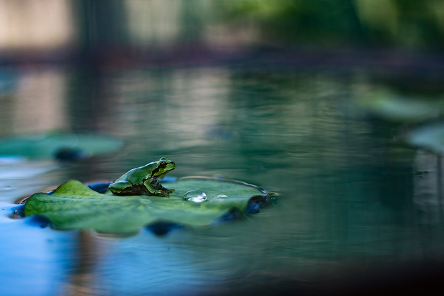 water-reflection-nature-no-person-lake 图片素材