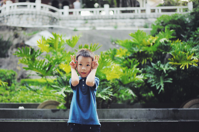 plant-people-green-summer-outdoors 图片素材