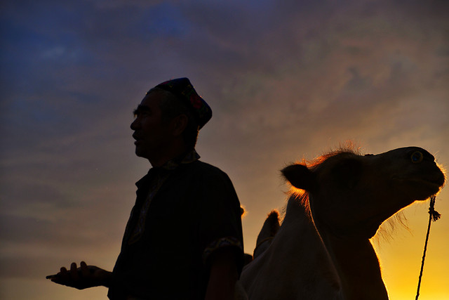 sunset-people-landscape-sky-backlit 图片素材