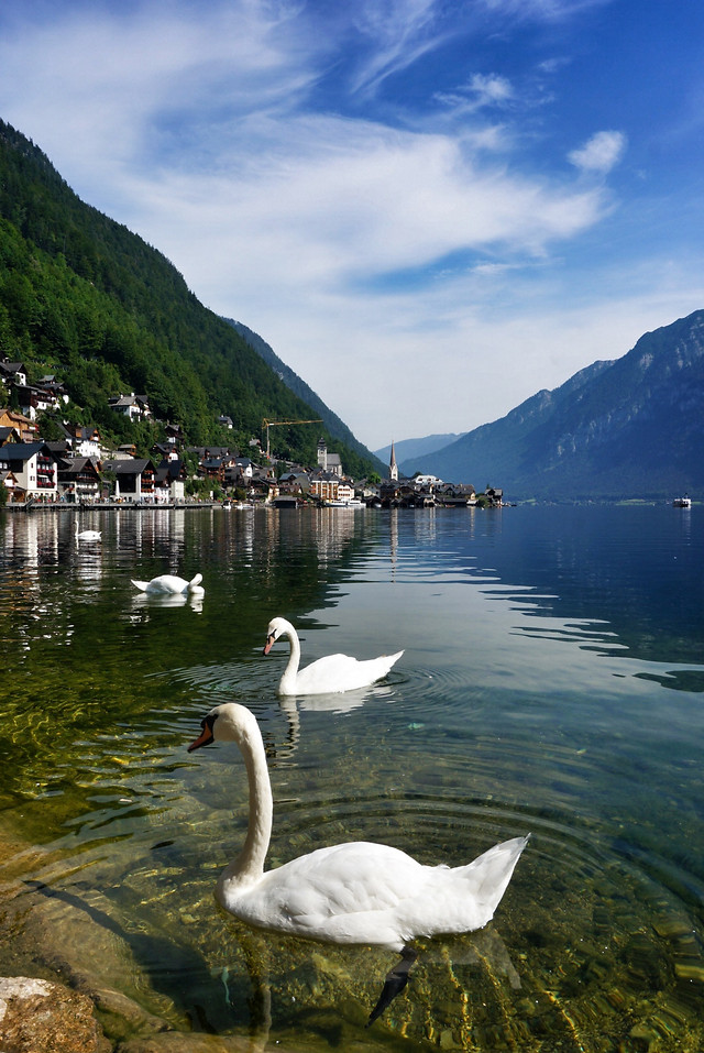 water-lake-reflection-travel-nature picture material
