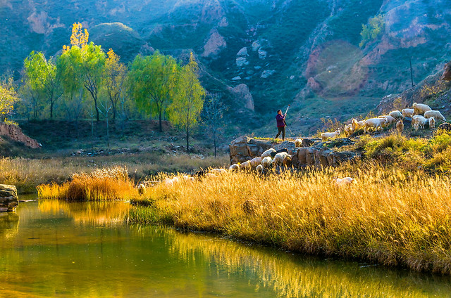 water-landscape-lake-nature-river picture material