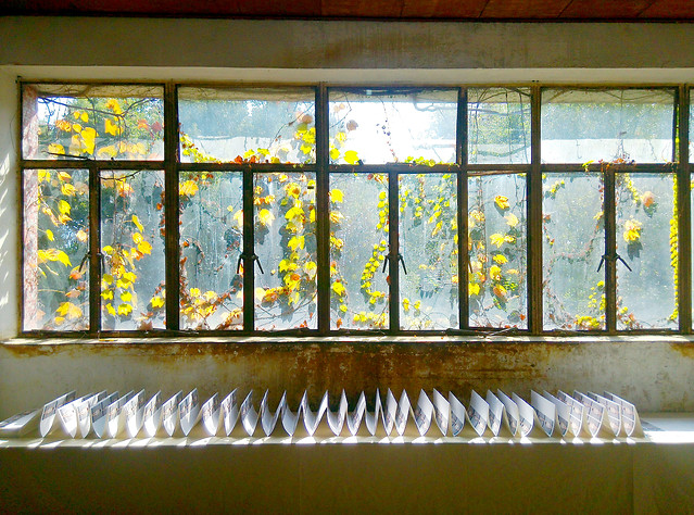 window-inside-house-light-indoors 图片素材