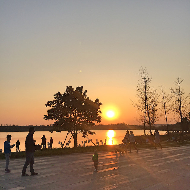 sunset-dawn-water-sun-beach picture material