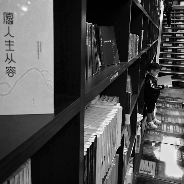 no-person-monochrome-black-shelf-indoors picture material