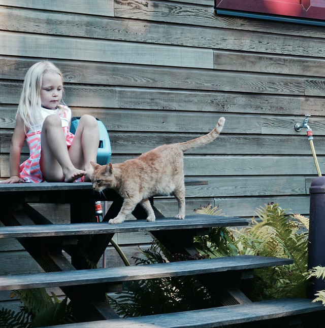 cat-people-pet-child-cute 图片素材