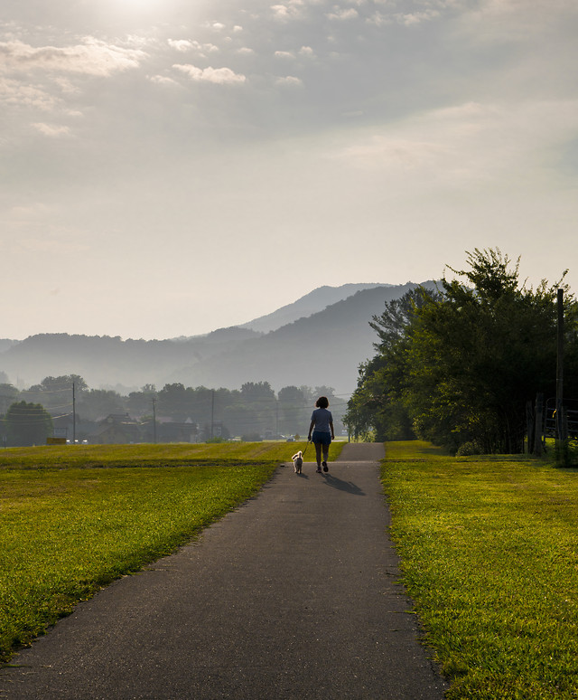 road-landscape-tree-travel-sky 图片素材