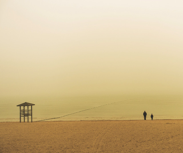 landscape-sunset-dawn-desert-beach 图片素材