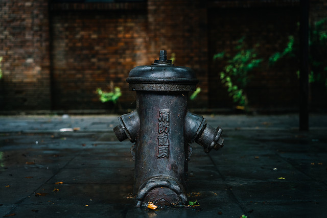 street-no-person-old-green-city 图片素材