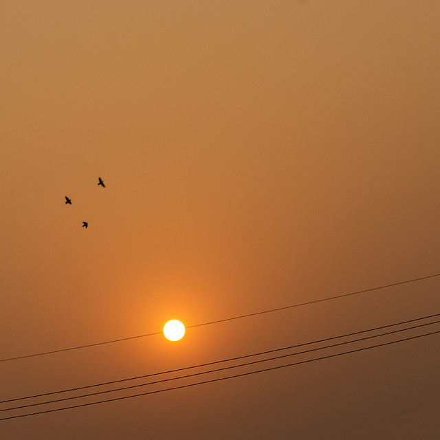 sunset-sun-landscape-dawn-light 图片素材