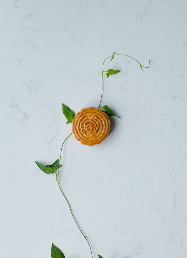 no-person-leaf-flower-nature-flora 图片素材