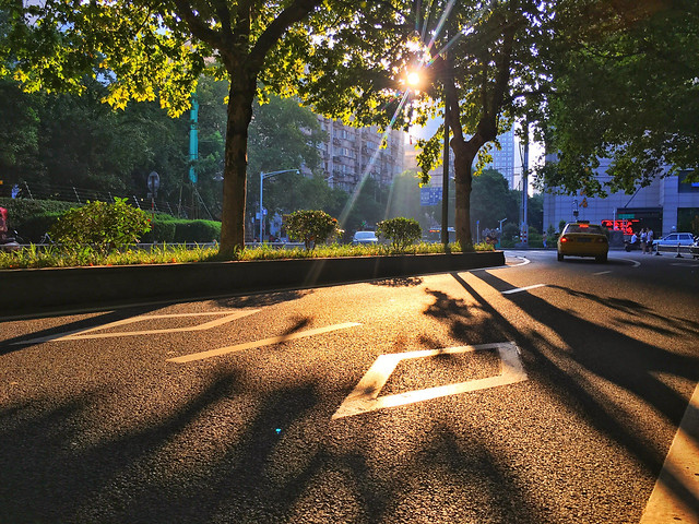 road-street-guidance-tree-light picture material