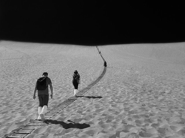 beach-people-monochrome-sand-ocean 图片素材