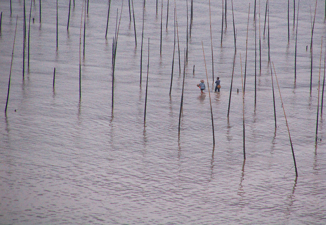 no-person-desktop-wood-water-abstract 图片素材