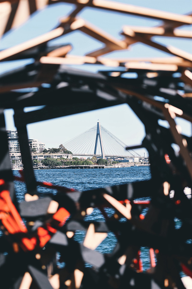 auto-racing-race-no-person-competition-travel picture material