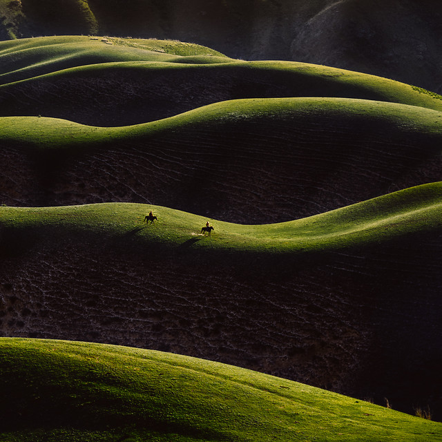 no-person-leaf-flora-green-growth 图片素材