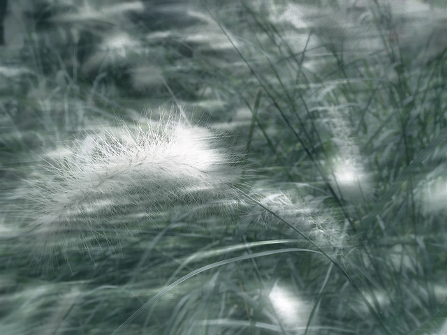 nature-insubstantial-abstract-desktop-color picture material