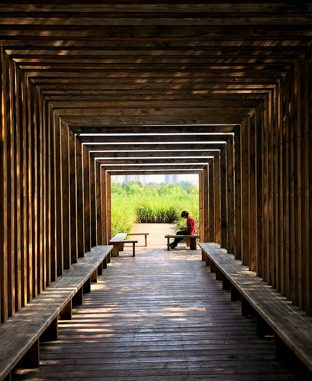 tunnel-architecture-no-person-wood-light picture material