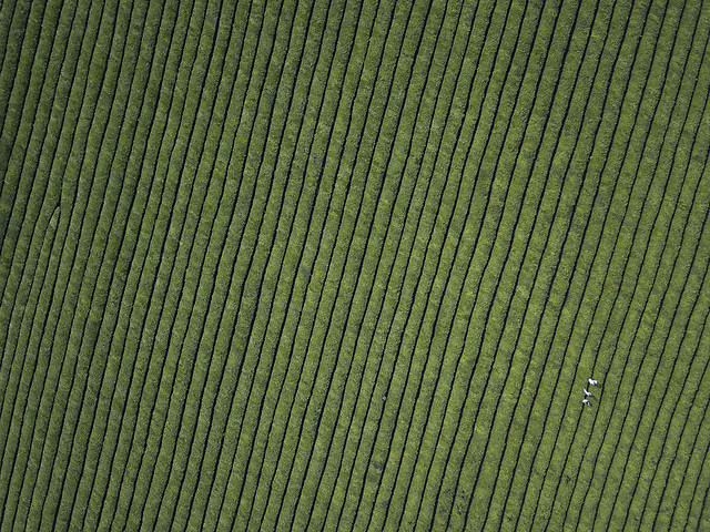 pattern-line-textures-desktop-texture 图片素材