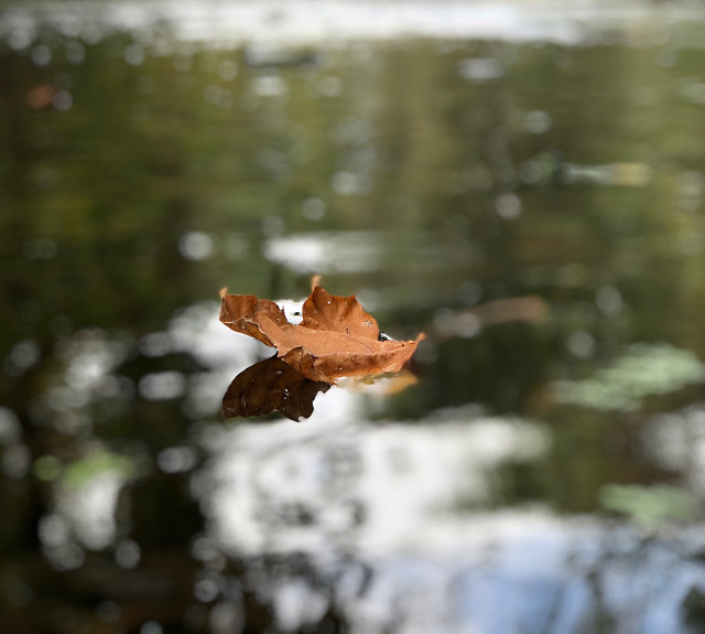 fall-no-person-winter-water-outdoors 图片素材