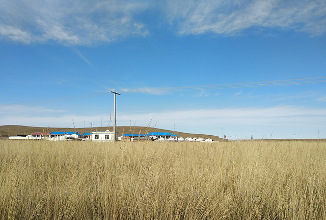 wheat-landscape-agriculture-no-person-cereal 图片素材