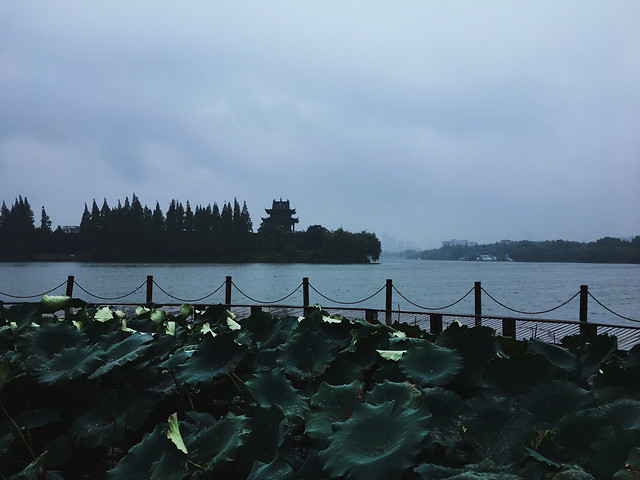 water-lake-no-person-river-landscape picture material