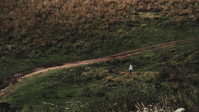 no-person-cropland-outdoors-landscape-agriculture picture material