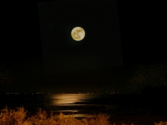 moon-night-full-moon-atmosphere-sky 图片素材