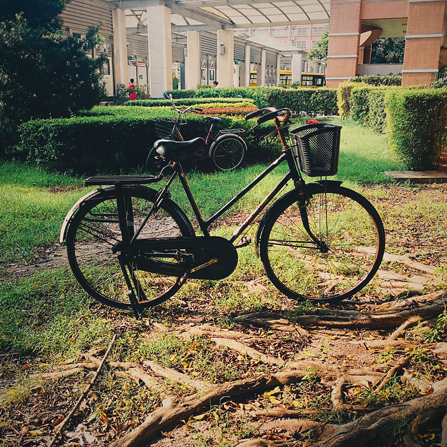 wheel-bike-road-bicycle-bicycle-transportation-system picture material