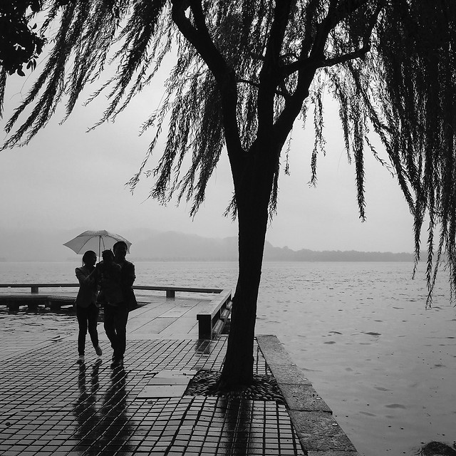 beach-water-sun-monochrome-travel 图片素材