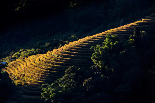 no-person-cropland-travel-outdoors-landscape 图片素材