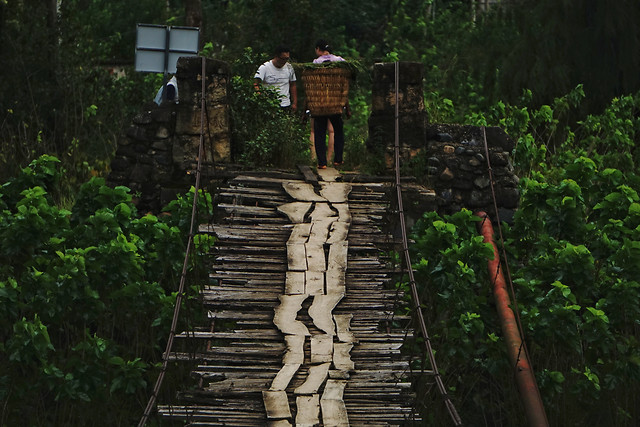 wood-tree-step-travel-no-person 图片素材