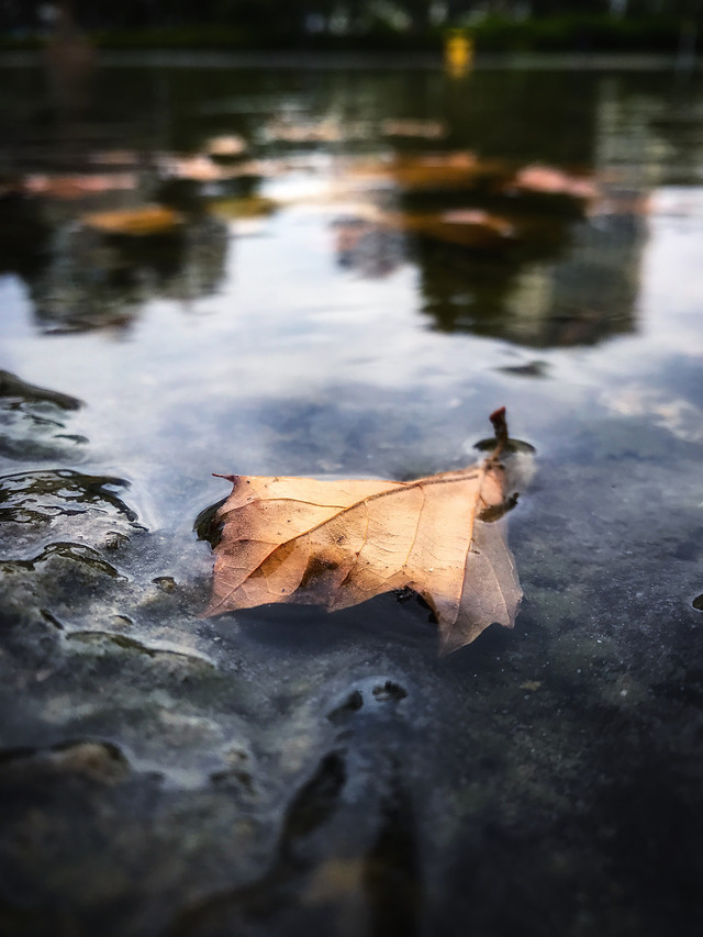 water-no-person-reflection-lake-outdoors 图片素材