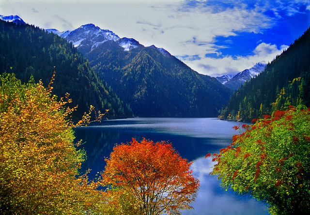 no-person-fall-water-wood-nature picture material