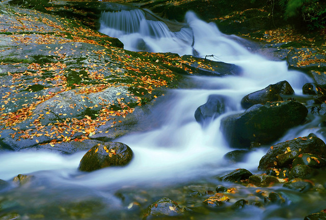 water-fall-river-no-person-stream picture material