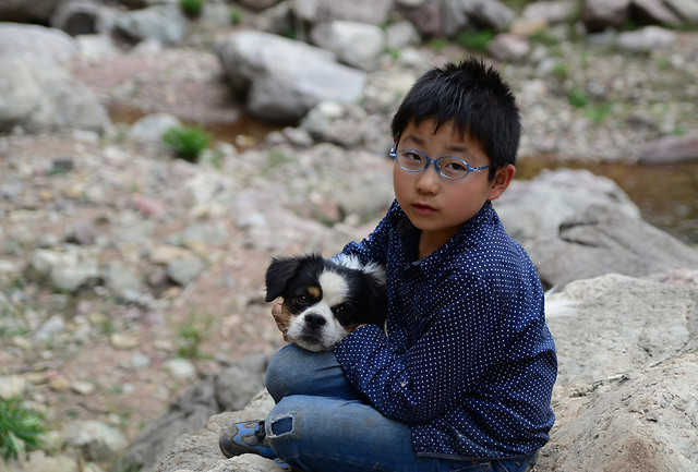 outdoors-cute-nature-sit-little 图片素材