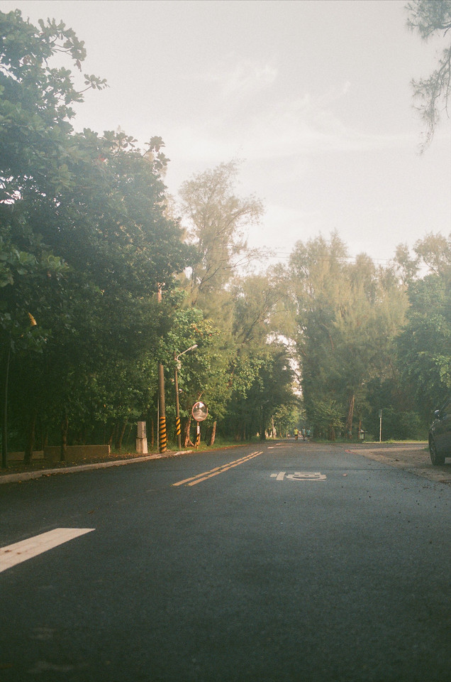 road-tree-landscape-street-sky 图片素材
