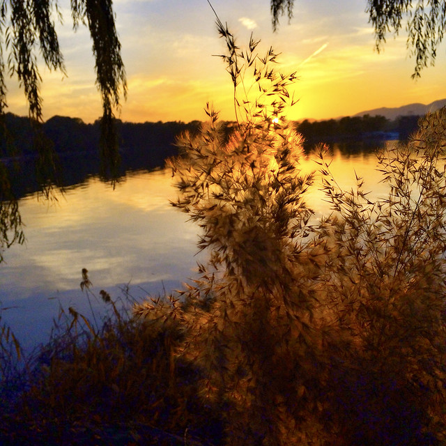 sunset-dawn-landscape-tree-nature 图片素材