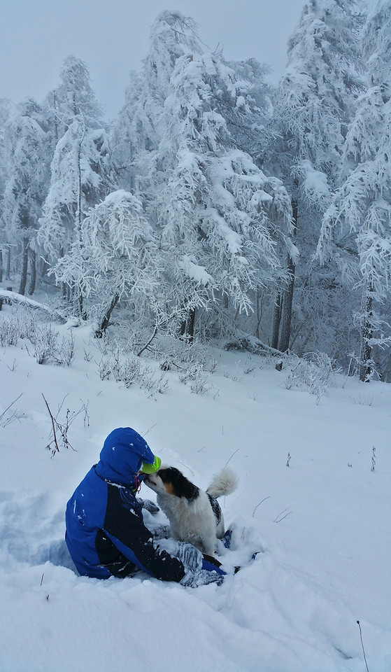 snow-winter-cold-ice-frost 图片素材