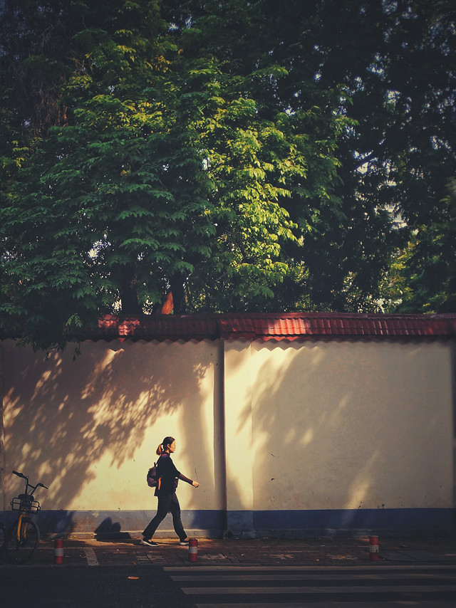 people-one-adult-landscape-green 图片素材