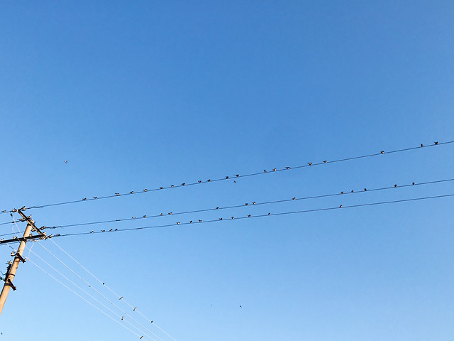 sky-wire-high-electricity-line picture material