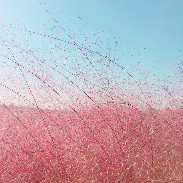 abstract-desktop-texture-color-pattern 图片素材