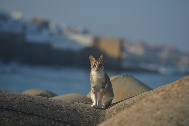 no-person-outdoors-nature-snow-winter 图片素材